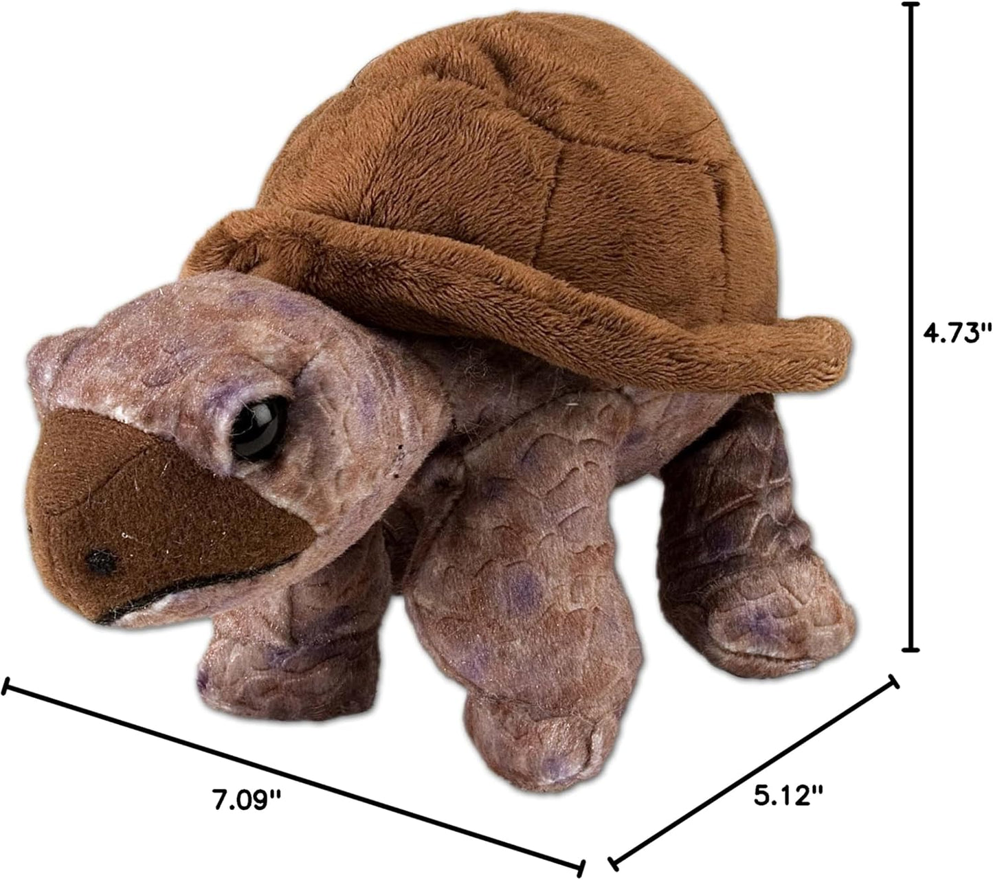 Tortoise Plush Toy, Stuffed Animal, Soft & Huggable Wildlife Plushie