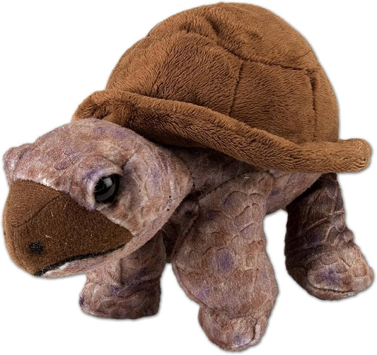 Tortoise Plush Toy, Stuffed Animal, Soft & Huggable Wildlife Plushie