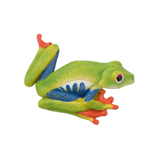 Red-Eyed Tree Frog Magnet – 2" Collectible Fridge Magnet