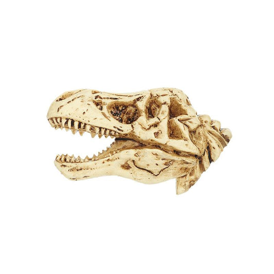 T-Rex Skeleton Magnet – 2" Dinosaur Fridge Magnet