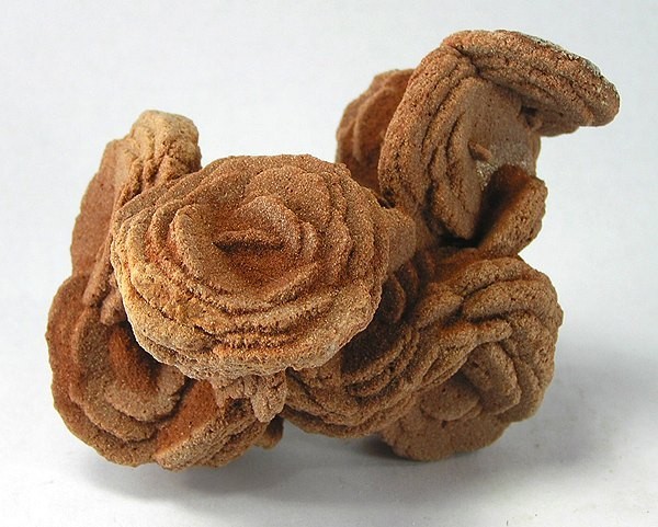Fossils