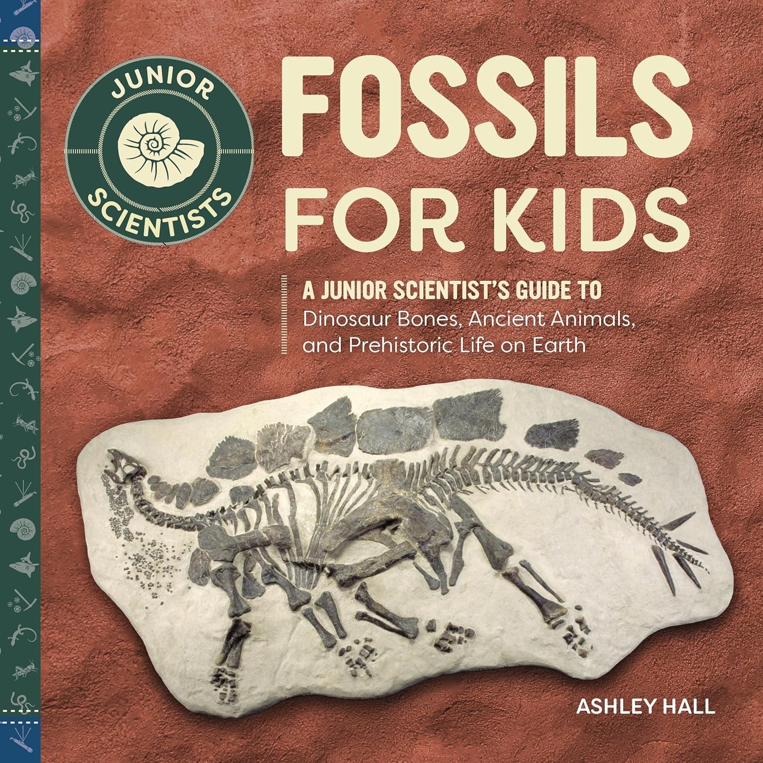 Fossils for Kids A Junior Scientists Guide to Dinosaur Bones Ancient Animals and Prehistoric Life on Earth Paperback Book