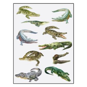 Prehistoric Alligator Temporary Tattoos for Kids Copy