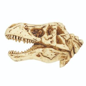 T-Rex Skeleton 2" Magnet