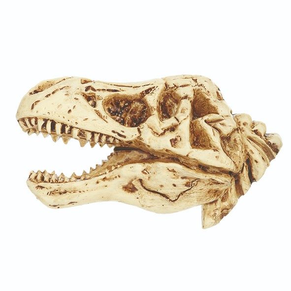 T-Rex Skeleton 2" Magnet