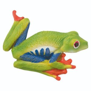 Red-Eyed Tree Frog Magnet – 2"