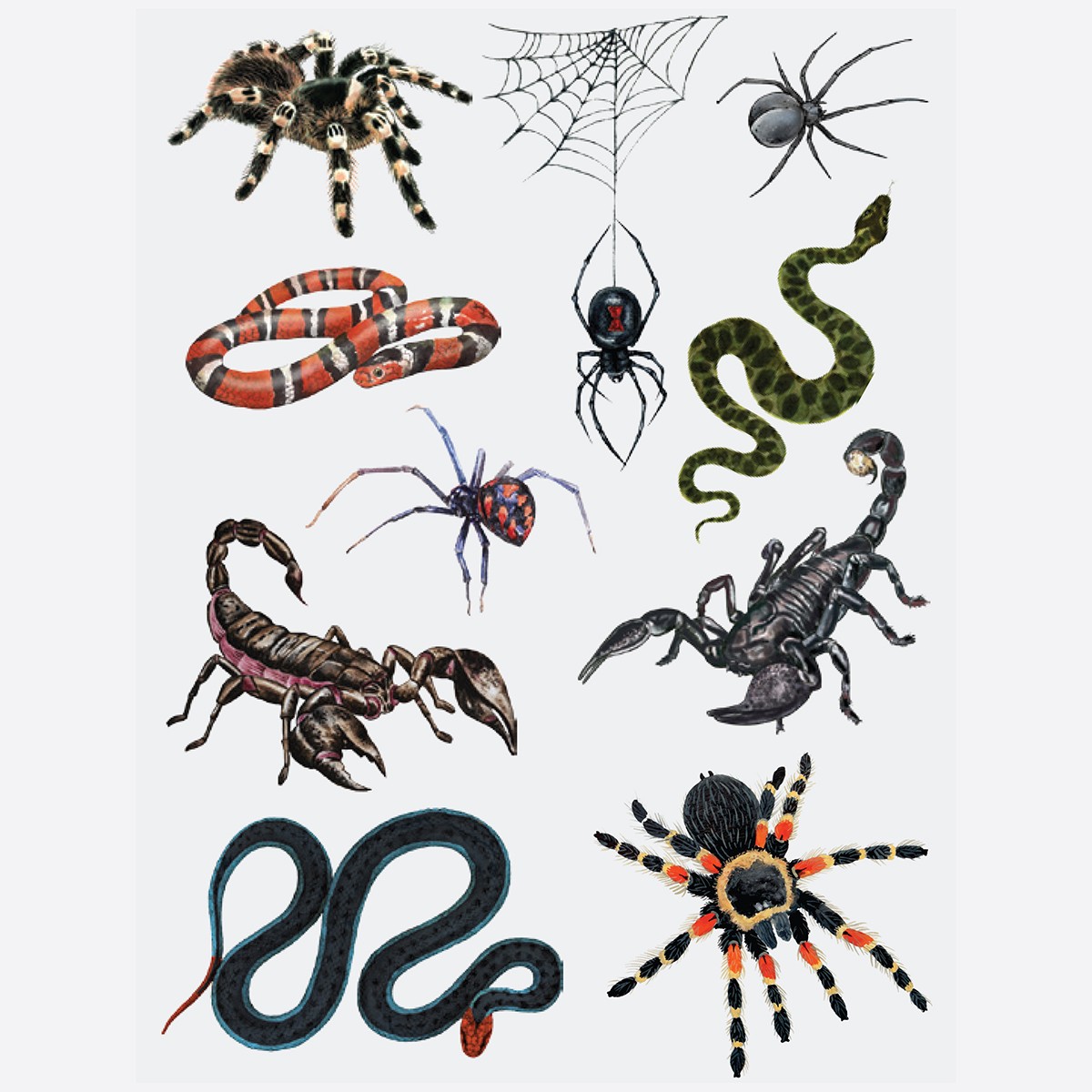 Insects & Reptiles Temporary Tattoos for Kids