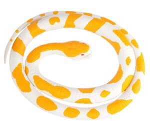 Albino Python Rubber Snake