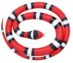 Scarlet Rubber Snake