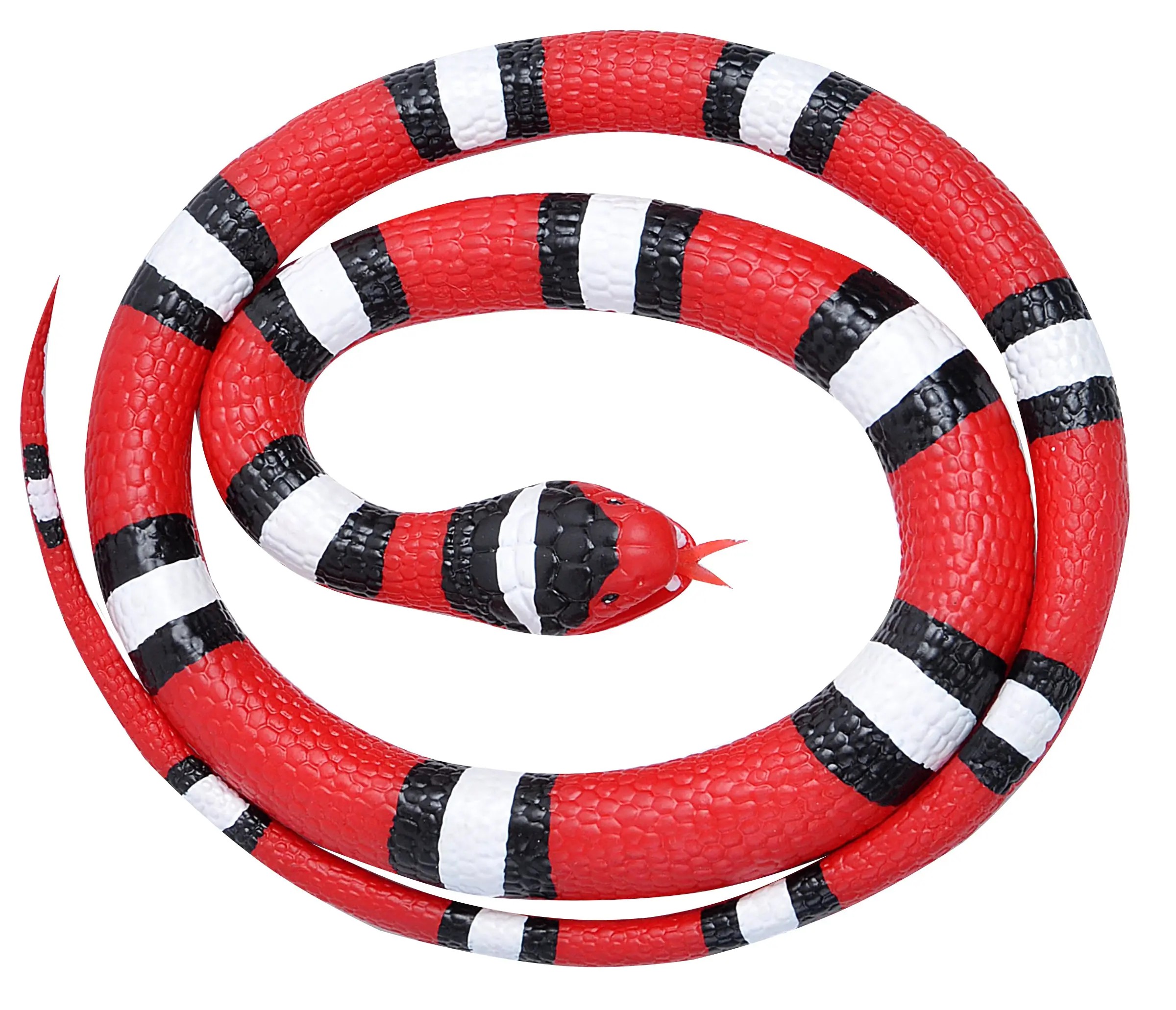 Scarlet Rubber Snake