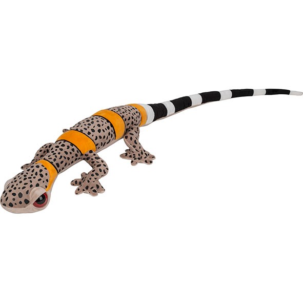 Vietnamese Cave Gecko