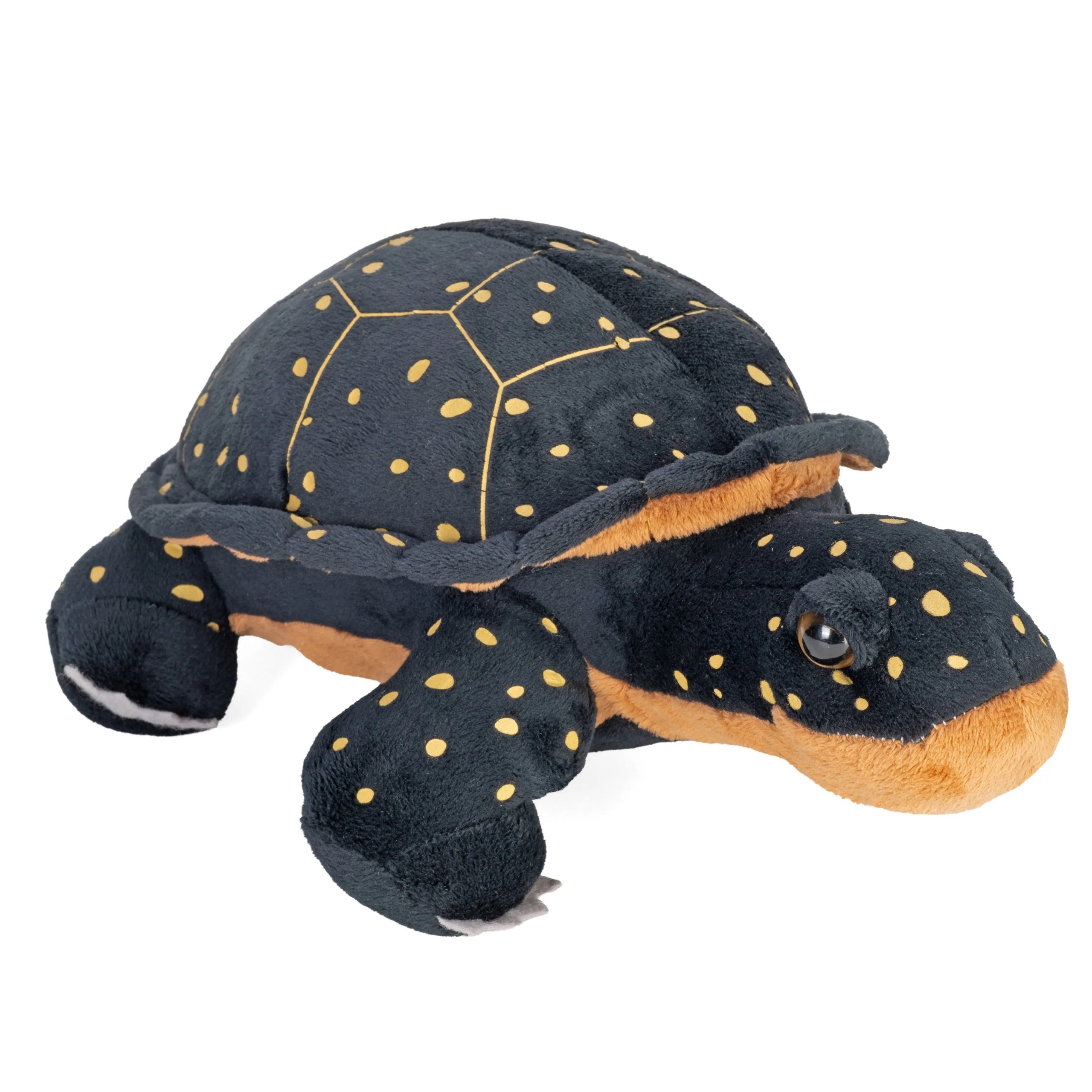 Spotted Turtle Stuffed Animal Plush