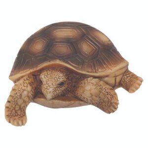 Turtle & Tortoise Magnet