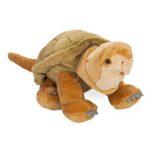 Asian Big Headed Turtle Stuffed Animal