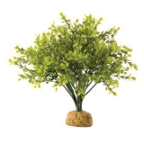 Exo Terra Terrarium Plant