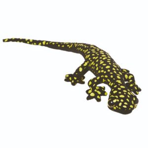 Ocellated Velvet Gecko Plush Stuffed Animal