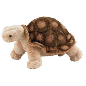 Tortoise Stuffed Animal 10.5 Inch